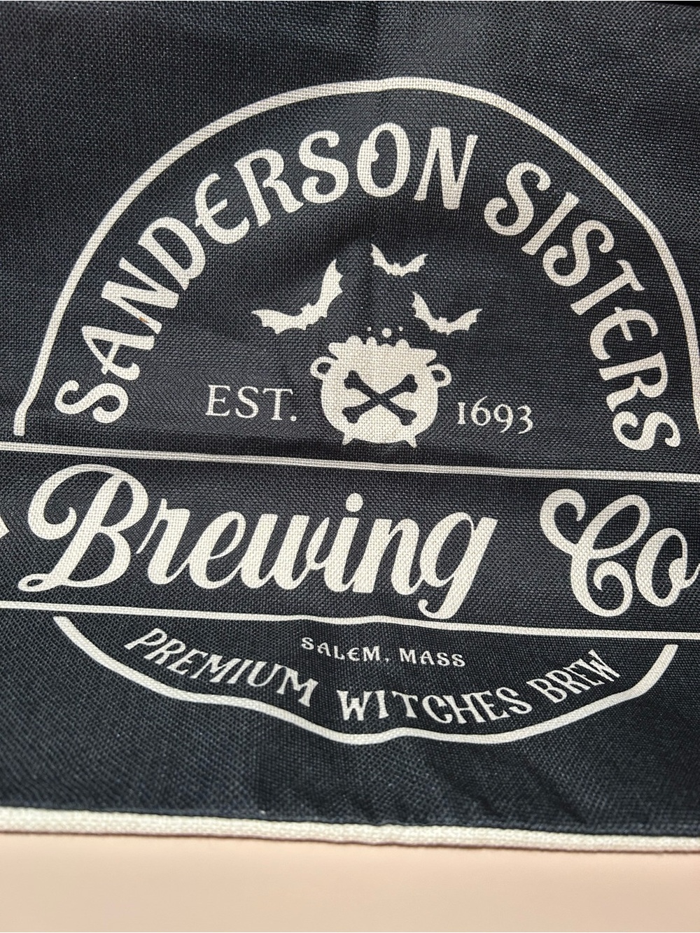 Sanderson Sisters Brewing Co. Black & White Pillow Cover